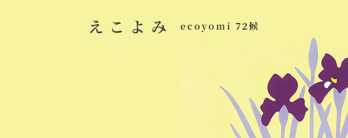 ecoyomi_06