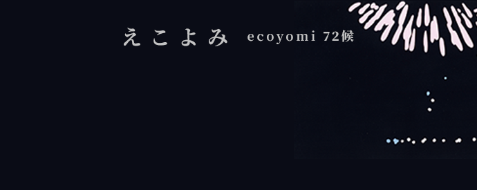 ecoyomi_08